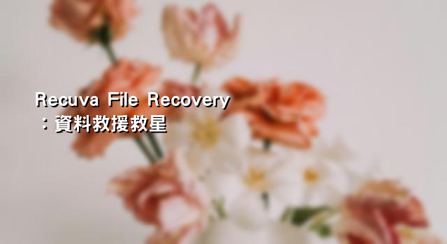 Recuva File Recovery：資料救援救星